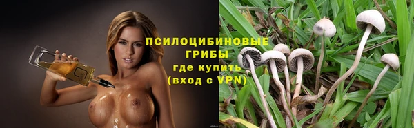 стаф Балабаново