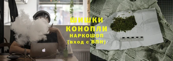 дмт Арсеньев