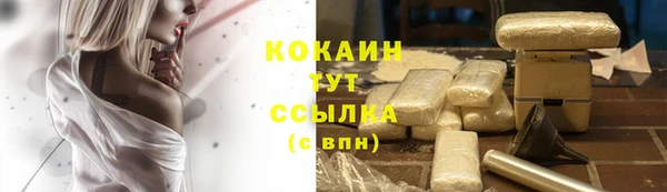 винт Баксан