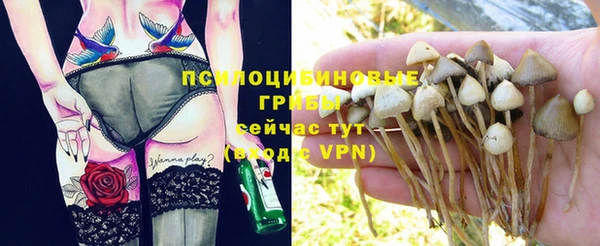 стаф Балабаново