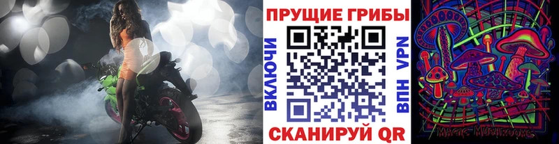 omg ТОР  Вятские Поляны  Галлюциногенные грибы прущие грибы 